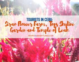 Tourists in Cebu: Sirao Flower Farm, Tops Skyline Garden and Temple of Leah