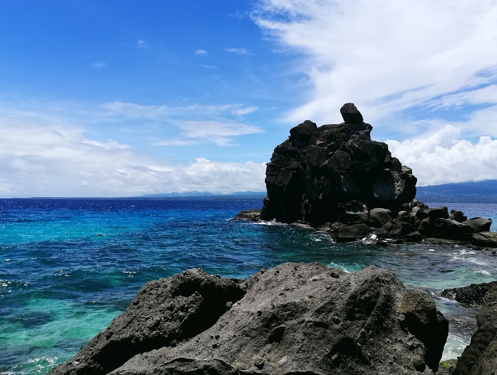 apo island