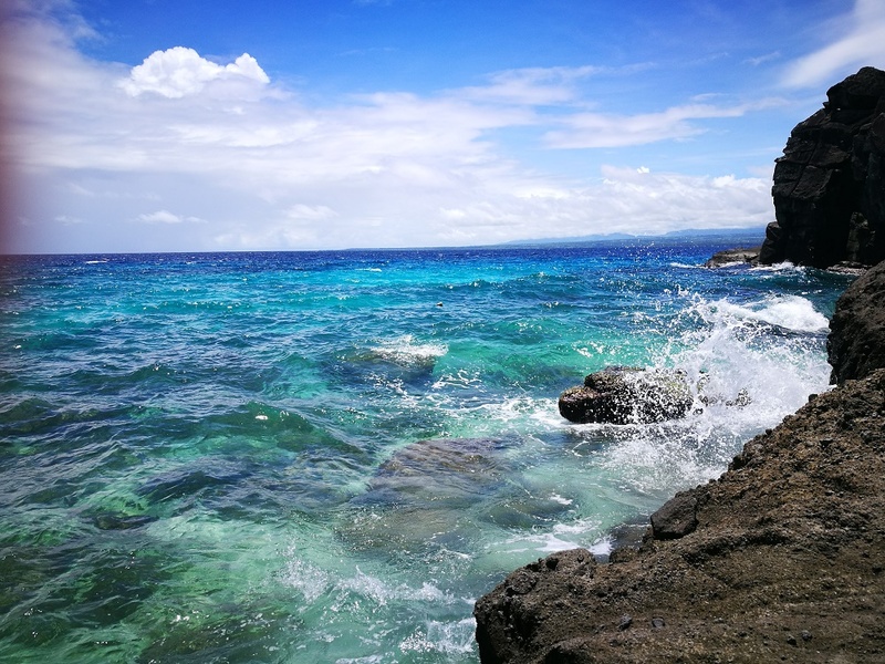 apo island