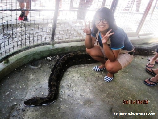 bohol day tour, bohol, philippines