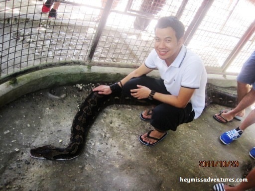 bohol day tour, bohol, philippines