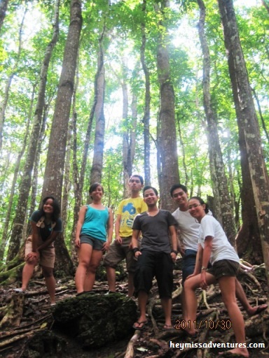 bohol day tour, bohol, philippines