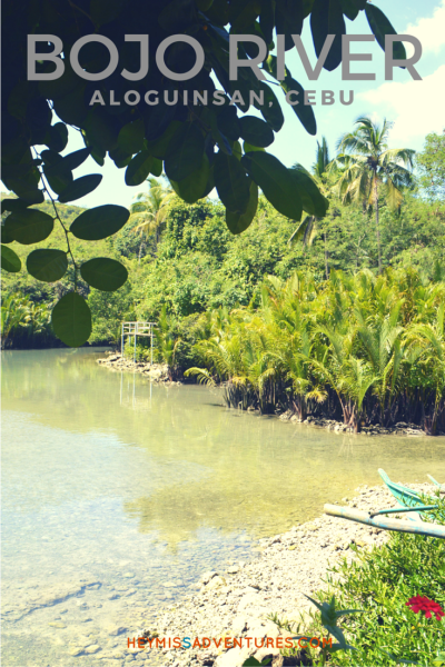 If you're from Cebu and can't afford to go to El Nido just yet, the Bojo River Cruise is a good enough alternative. Check out our adventure! >> heymissadventures.com