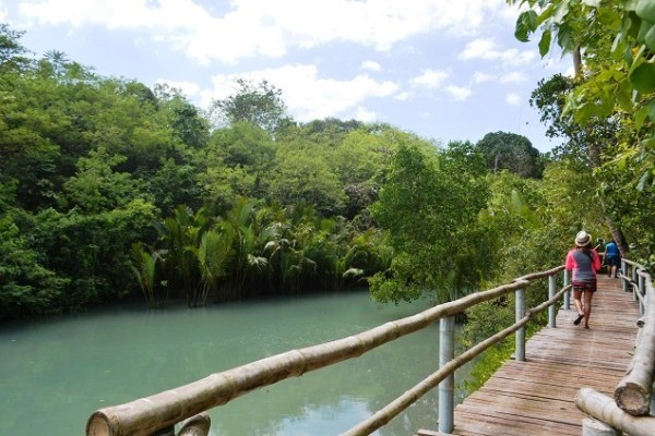 If you're from Cebu and can't afford to go to El Nido just yet, the Bojo River Cruise is a good enough alternative. Check out our adventure! >> heymissadventures.com