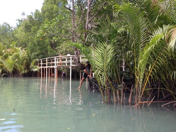 If you're from Cebu and can't afford to go to El Nido just yet, the Bojo River Cruise is a good enough alternative. Check out our adventure! >> heymissadventures.com