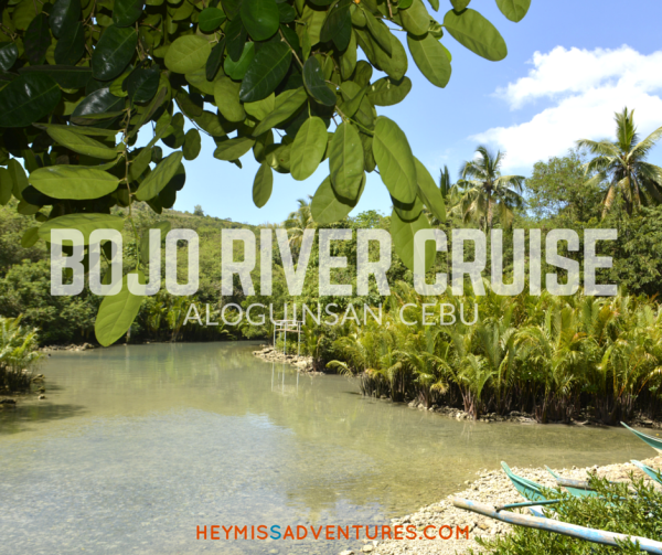 If you're from Cebu and can't afford to go to El Nido just yet, the Bojo River Cruise is a good enough alternative. Check out our adventure! >> heymissadventures.com