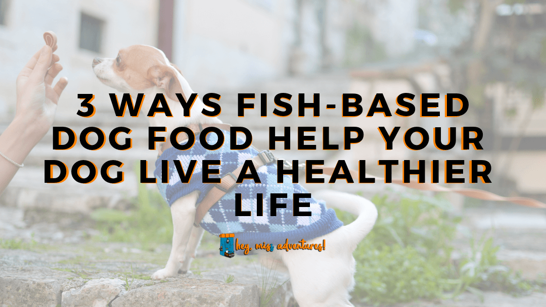 3 Ways Fish-Based Dog Food Help Your Dog Live a Healthier Life