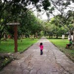 The Best (Mis)Adventures of 2016 -- and What Lies Ahead