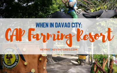 When in Davao City: GAP Farming Resort