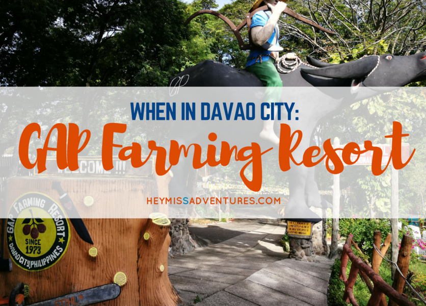 When in Davao City: GAP Farming Resort