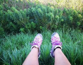 Gear Review: Merrell Waterpro Maipo Hiking Shoes