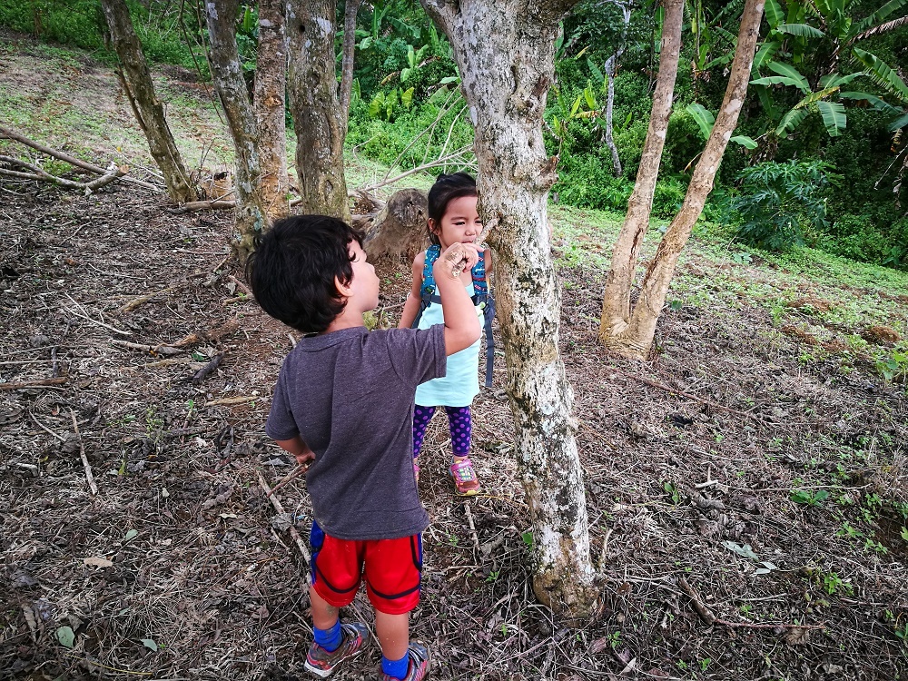 Mount Mago: Boundary Climb (Danao, Carmen and Tuburan) with Kids | Hey, Miss Adventures!