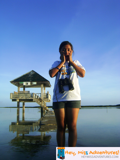 olango island cebu diy trip