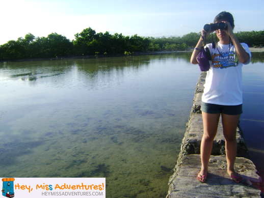 olango island cebu diy trip