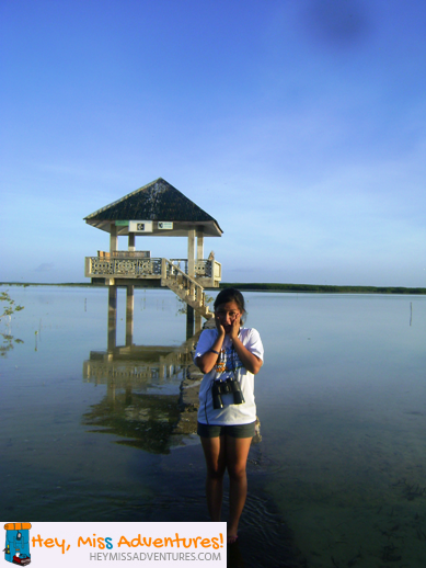 olango island cebu diy trip