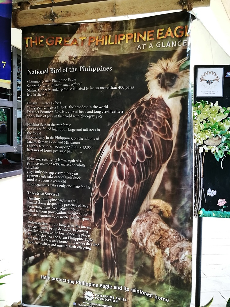 philippine eagle center