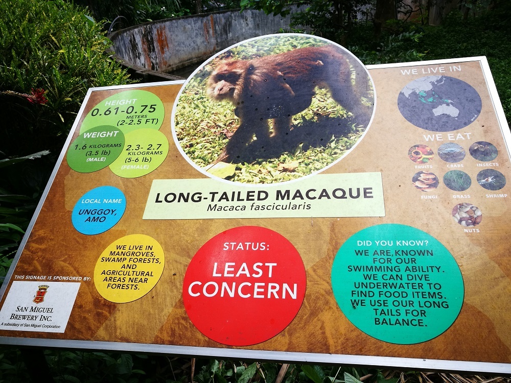 philippine eagle center