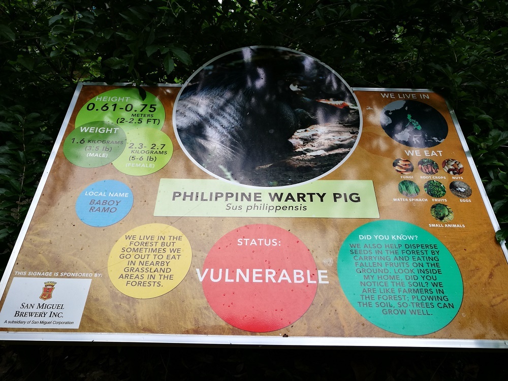 philippine eagle center