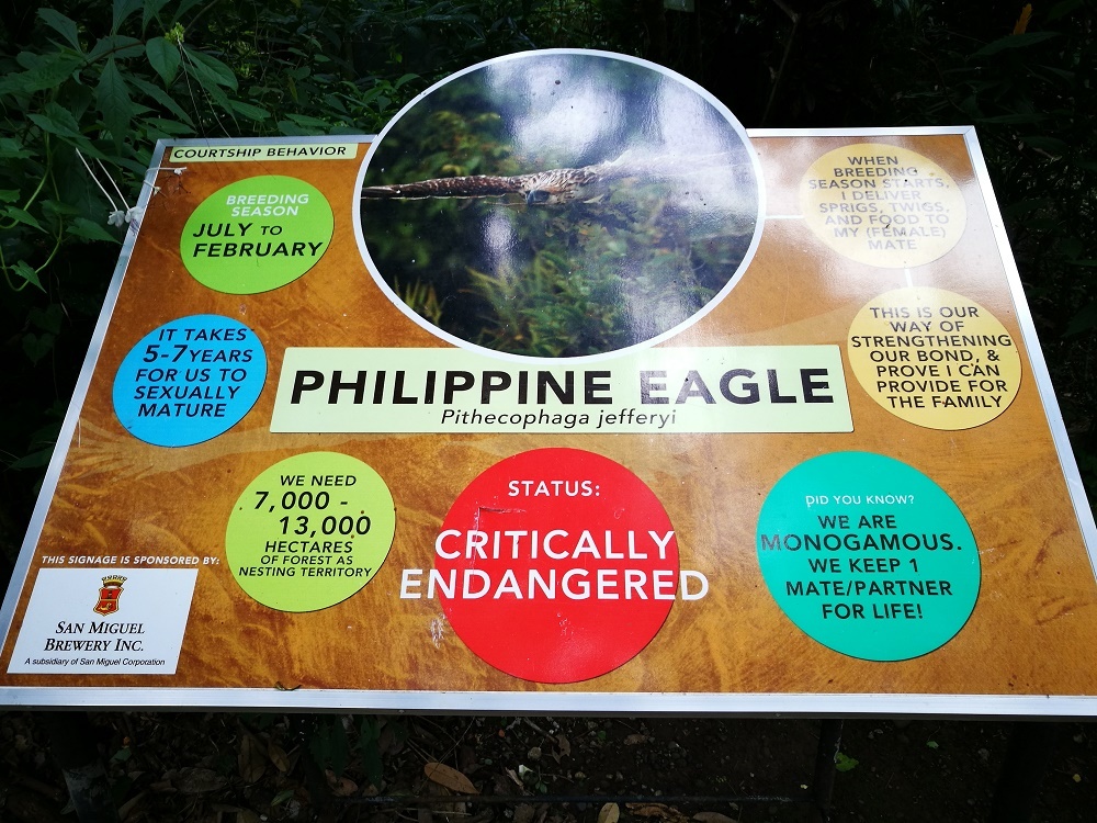 philippine eagle center