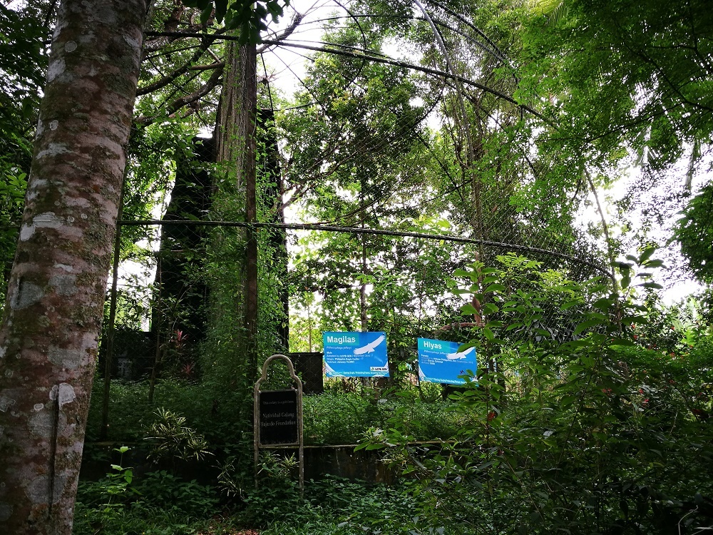 philippine eagle center