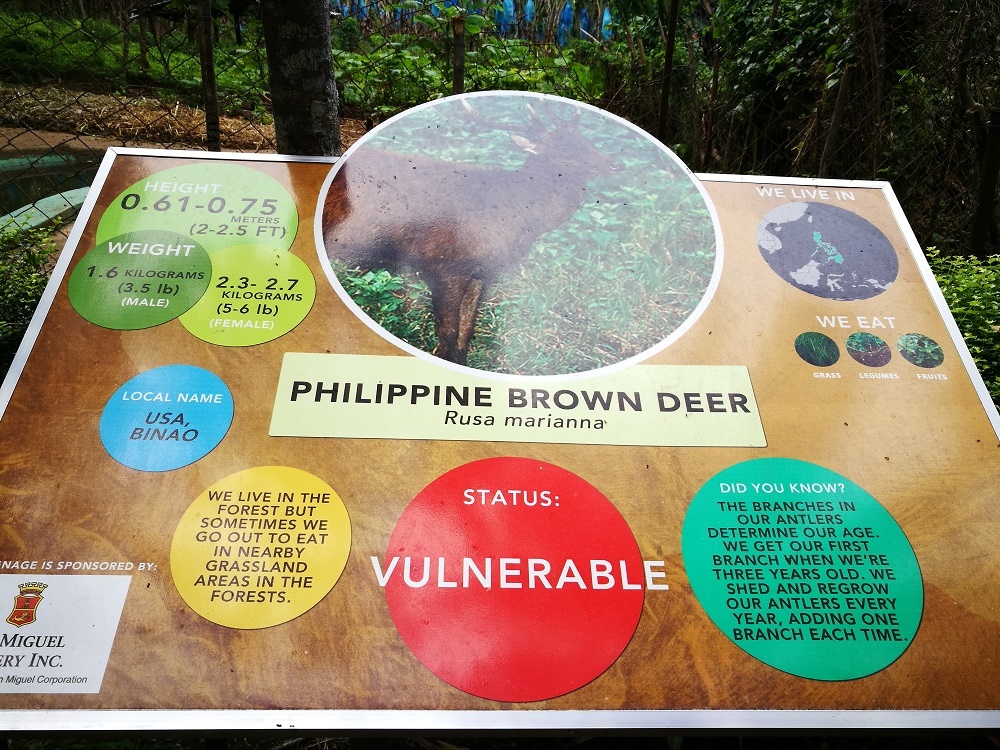 philippine eagle center