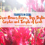 Tourists in Cebu: Sirao Flower Farm, Tops Skyline Garden and Temple of Leah