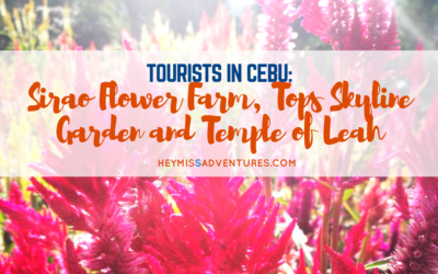 Tourists in Cebu: Sirao Flower Farm, Tops Skyline Garden and Temple of Leah