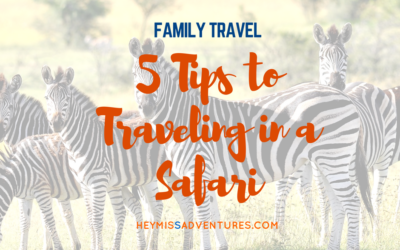 5 Tips to Traveling in a Safari