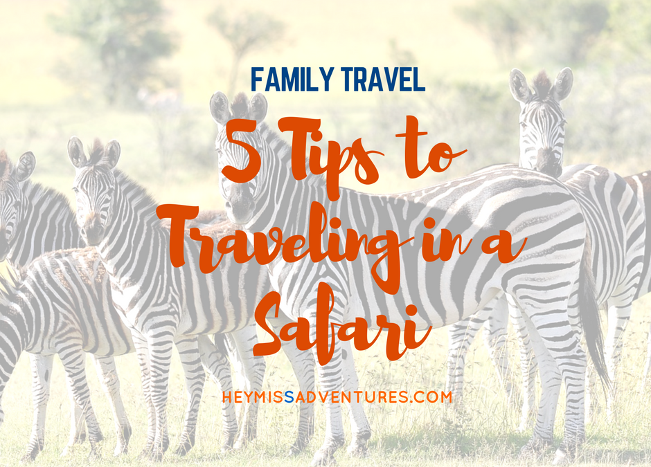 5 Tips to Traveling in a Safari